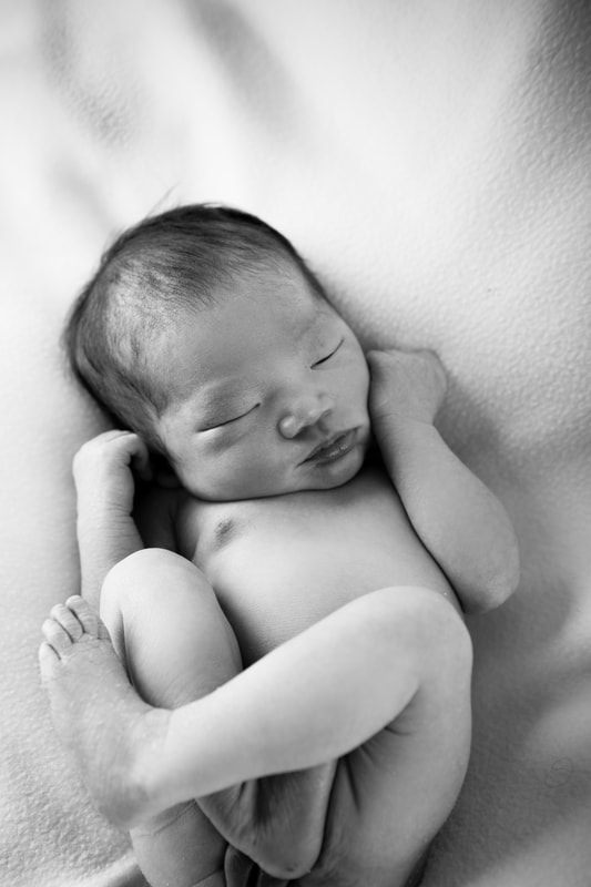 Markham black and white professional newborn photos in studio baby boy